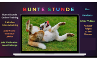 Bunte Stunde Online Hundetraining