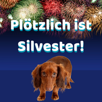 hunde Online Training Silvester